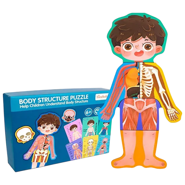 Развивающий набор New World Body Structure 3+/ Развитие photo 1