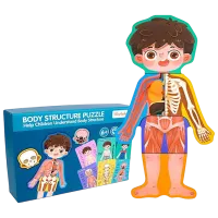 Joc educativ New World Body Structure 3+/ Dezvoltare