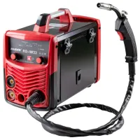 Сварочный аппарат Raider RD-IW32  полуавтоматическая (MIG/MAG), ручная дуговая (MMA) / Черный