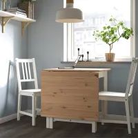 Set masă și scaune Ikea Pinntorp/Stefan Pătrată / Lemn / Light Brown photo 8