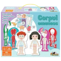 Puzzle Noriel Человеческое тело 3+/ Количество деталей: 60