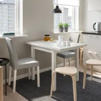 Set masă și scaune Ikea Nordviken/Kattil/Knisa Dreptunghiulară / PAL / White photo 7