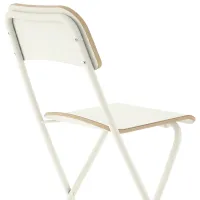 Set masă și scaune Ikea Norberg/Franklin Dreptunghiulară / PAL / White photo 3