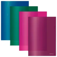 Папка ErichKrause Vivid Разноцветный / А4