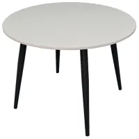 Masă de bucătărie fixă Evelin DT - 402-3 PAL/ White