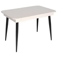 Кухонный стол раскладной Evelin DT 431-1R B Дерево/ Белый