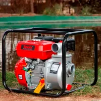 Мотопомпа Ronix RH-4051 30000 л/ч / Бензин photo 13
