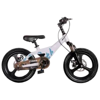Велосипед TyBike BK-09 20" 20" Магниевый сплав / Серый White