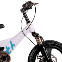 Велосипед TyBike BK-09 20" 20" Магниевый сплав / Серый White photo 4