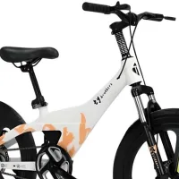 Велосипед TyBike BK-09 20" 20" Магниевый сплав / Белый Черный photo 4