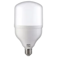 Bec LED Horoz TORCH-30 001016003001 E27 / 30 W / 6400 K / / White