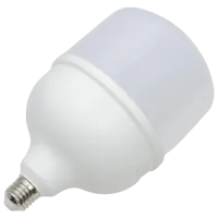 Bec LED Horoz TORCH-50 001016005001 E27 / 50 W / 6400 K / / White photo 2