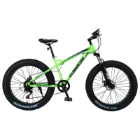 Bicicletă Frike Gunsrose Fatbike 24" 15" Aluminiu / Green Black