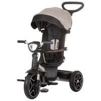 Трицикл Chipolino TRKDR02405MA 25 кг / Серый