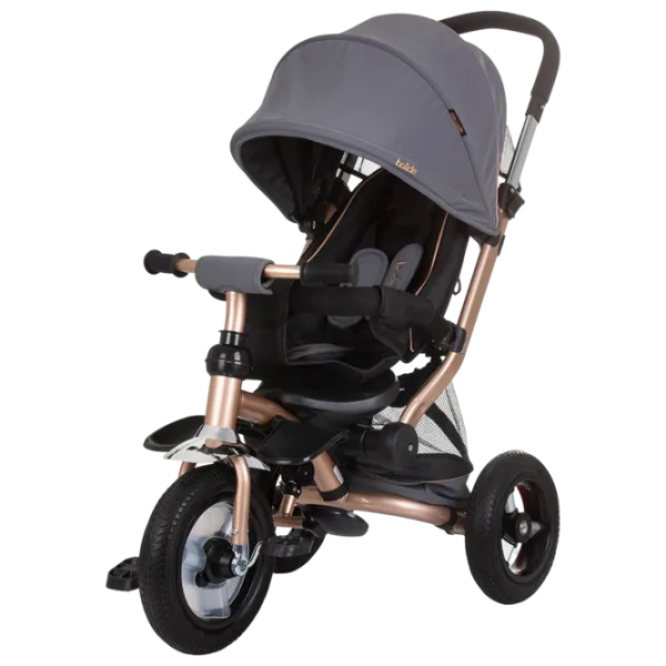 Трицикл Chipolino Bolide 25 кг / Графит photo 1