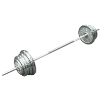 Гриф Arena 8012287 Прямая / 87 кг