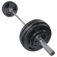 Гриф Arena 80223130 Прямая / 87 кг