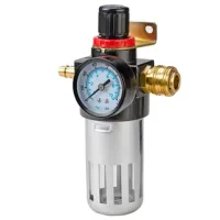 Filtru de aer Einhell 41.341.00  Metal / 1