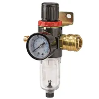 Воздушный фильтр Einhell 41.342.00  Металл / 1