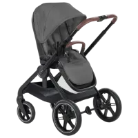 Cărucior pentru copil Hauck Walk N Care Air Set 4007923165485/ Gray photo 3