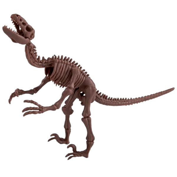 Jucărie interactivă 4M Dinozaur Velociraptor Skeleton 00-13234 8+ / Brown Brown photo 1