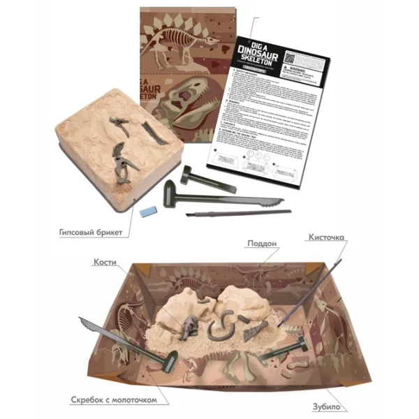 Jucărie interactivă 4M Dinozaur Velociraptor Skeleton 00-13234 8+ / Brown Brown photo 4