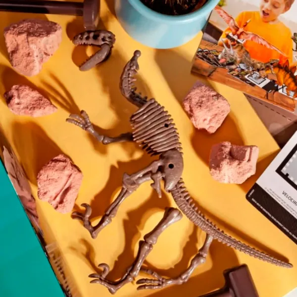 Jucărie interactivă 4M Dinozaur Velociraptor Skeleton 00-13234 8+ / Brown Brown photo 5