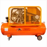 Compresor Bisonte SW102-170 / photo 2