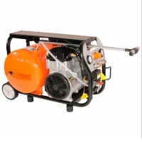 Compresor Bisonte SC020-015 / photo 2