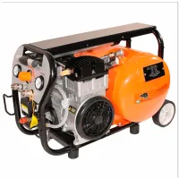 Compresor Bisonte SC020-015 / photo 4
