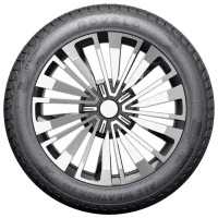 Шины Rovelo All Weather R4S 155/70 R13 75T Всесезонные / Легковой photo 3
