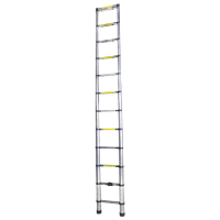 Scară pliantă Bisonte STR1038 1x13 150 kg