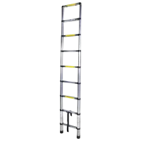 Scară pliantă Bisonte STR1026 1x9 150 kg