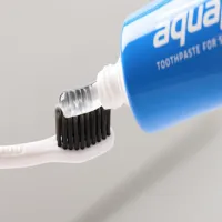 Irigator bucal Aquapick AQ-205 + Cadou Cu apă sub presiune / Pink photo 3