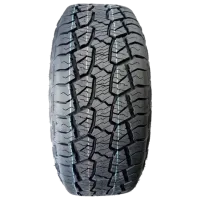Шины Haida HD828 245/65 R17 111/108S 8PR LT Лето / Легковой photo 2