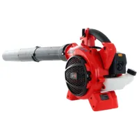 Suflantă de frunze Blue Bird BLV281 / Red photo 4