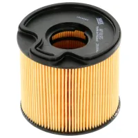 Filtru combustibil Wix Filters WF8195 31 mm