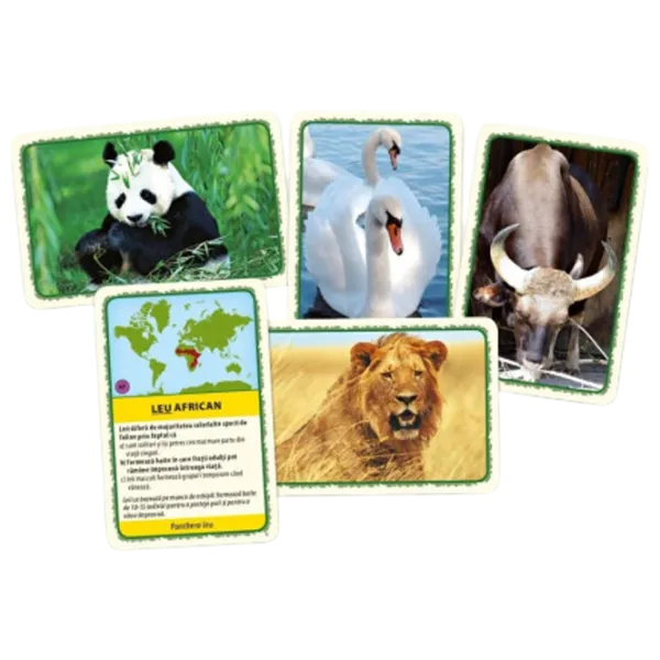 Joc educativ Tactic Animals World 7+/ Dezvoltare photo 2