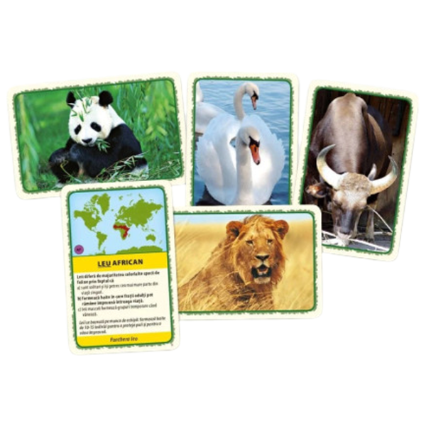 Joc educativ Tactic Animals World 7+/ Dezvoltare photo 2