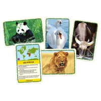 Joc educativ Tactic Animals World 7+/ Dezvoltare photo 2