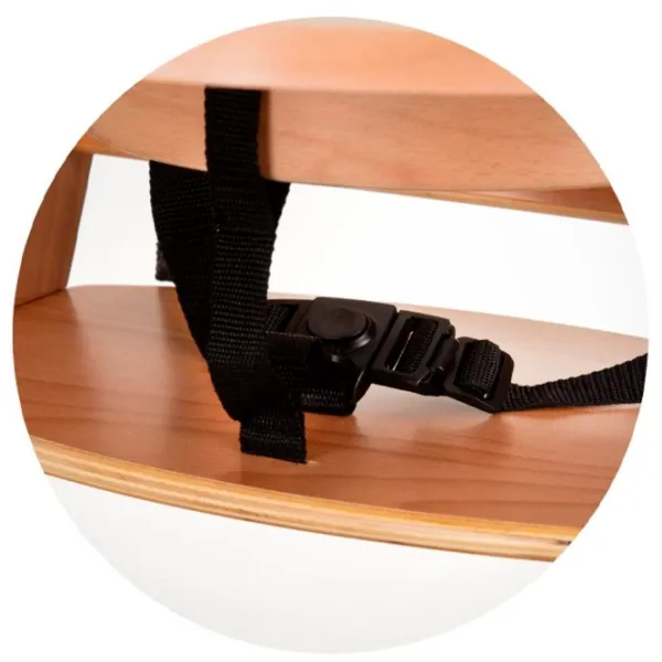 Scaun de masă Chipolino STHTT0241WO (3800931058418) / 6 luni / Brown  photo 4