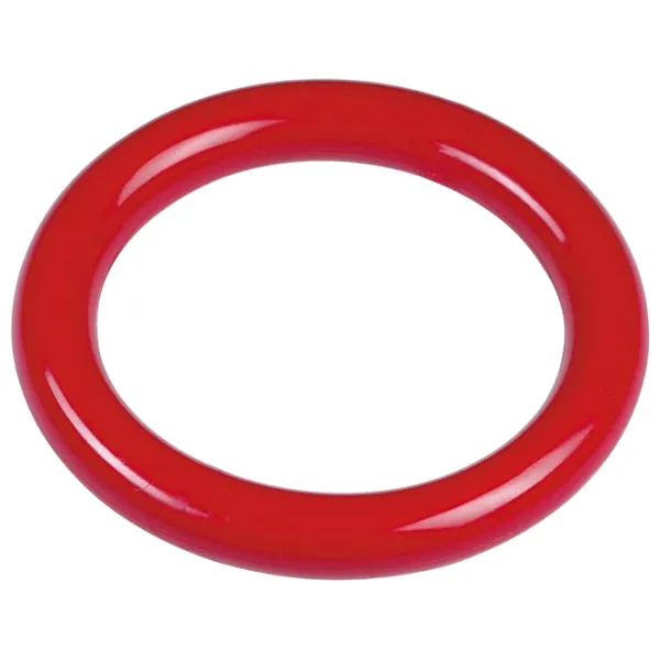 Inel de scufundare Beco BASIC Diving Ring Plastic / Multicolor  photo 4