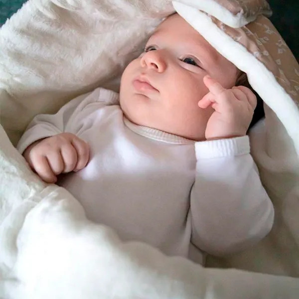Конверт для малышей BabyJem 428  Хлопок, Хлопок / Унисекс photo 4