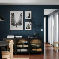 Dulap de bucătărie Ikea Besta Black / Sticlă photo 5