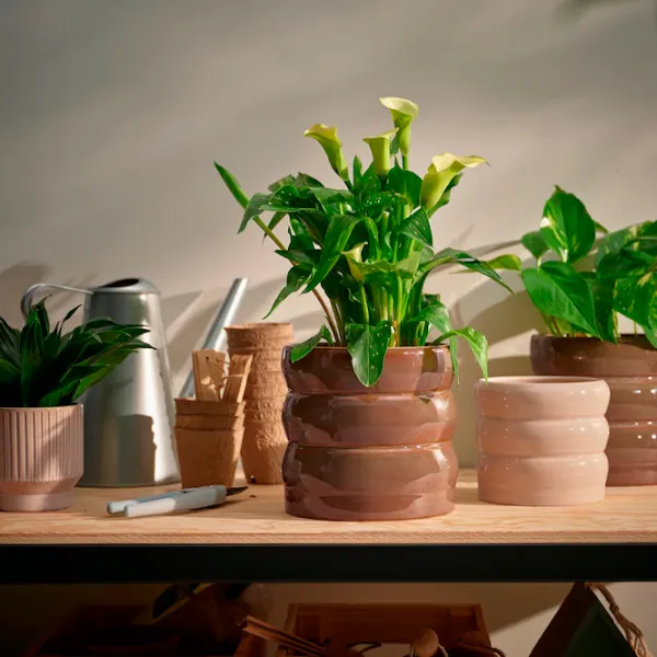Горшок для цветов Ikea Hasselbukett Коричневый / Керамика / На подоконник photo 3