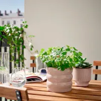Ghiveci pentru flori Ikea Hasselbukett Brown / Ceramică / Pe pervaz photo 4