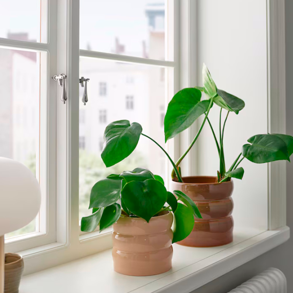 Горшок для цветов Ikea Hasselbukett Коричневый / Керамика / На подоконник photo 5