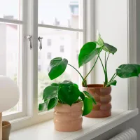 Ghiveci pentru flori Ikea Hasselbukett Brown / Ceramică / Pe pervaz photo 5