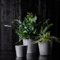 Горшок для цветов Ikea Skogsvinbar Серый / Керамика / На подоконник photo 3