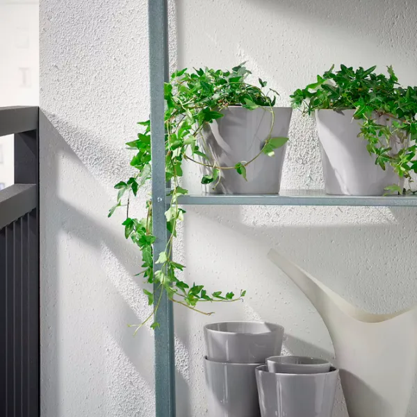 Ghiveci pentru flori Ikea Skogsvinbar Gray / Ceramică / Pe pervaz photo 4